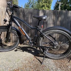 E-bike Rad Rover Bike