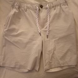 Barely Used Chubbies Shorts (Men's Size Large)
