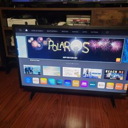 VIZIO D-SERIES 32" TV