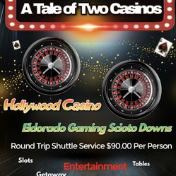 Casino Trip Book Today
