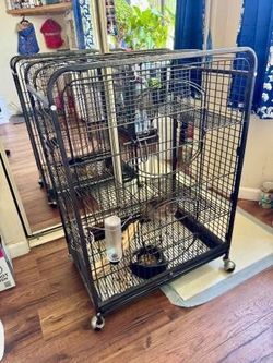 Cage for a chinchilla
