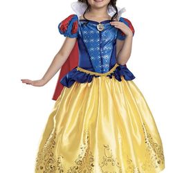 NEW Princess Halloween Costumes $40
