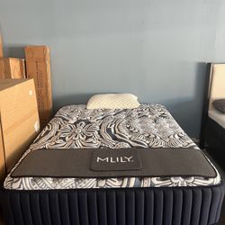Factory Direct // Sealed Mattress 