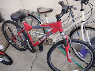 Schwinn  bikes