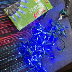 15' Blue Led Lights
