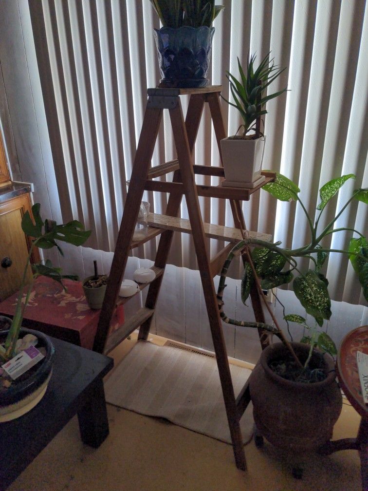 Antique Paint Ladder