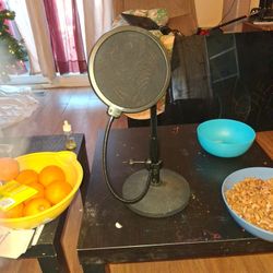Newer Mic Stand And Spit Blocker