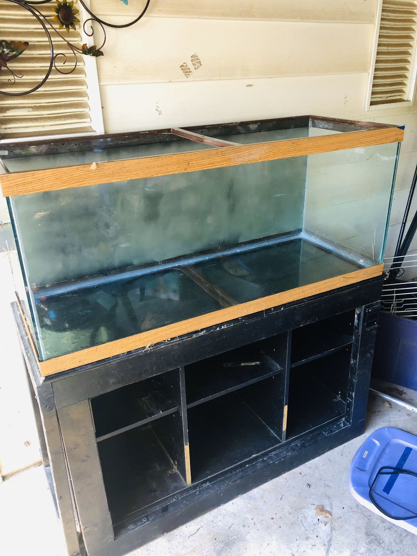 Fish tank 75 gallon with black sturdy stand
