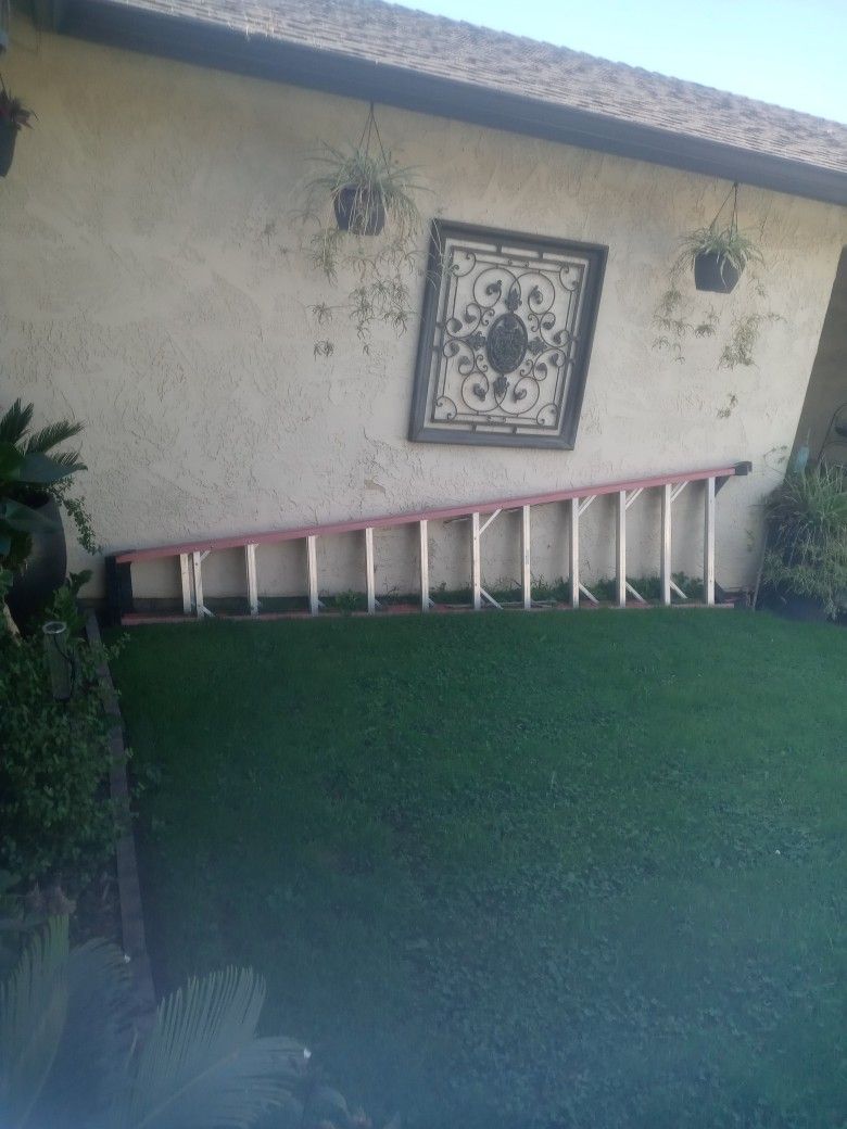 12 Ft Ladder