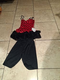Costume outfit women lady bug size s 4_6 only dress an tight in good condition