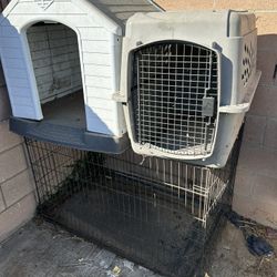Dog House