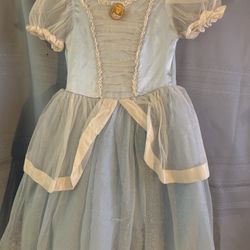  Cinderella Dress 4T/6T 
