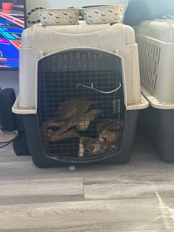 Dog kennel