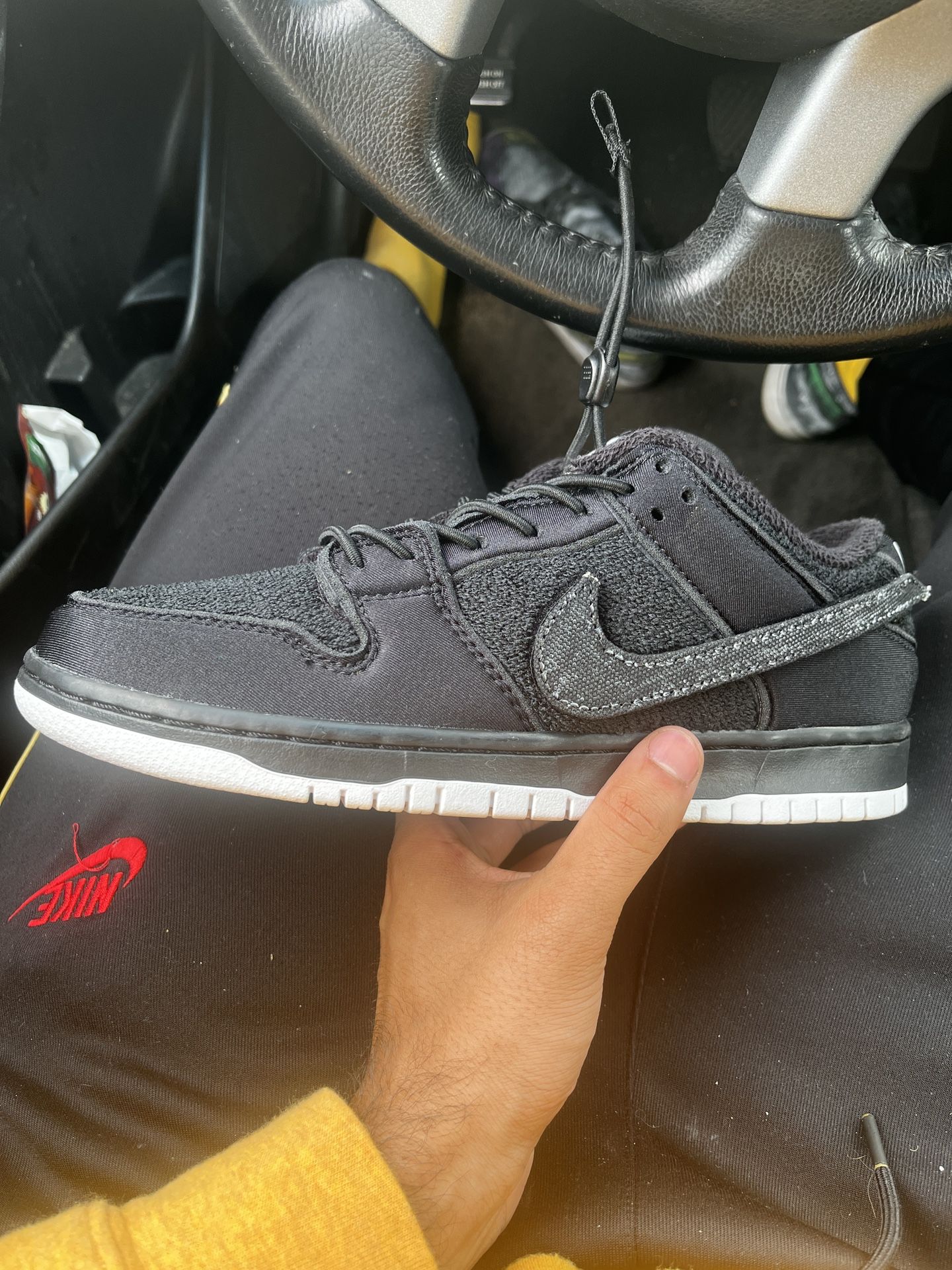 Gnarhunter Dunks Size 10.5