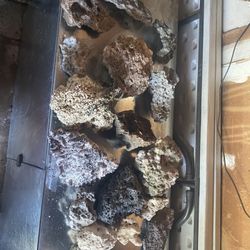 Aquariun Rocks 
