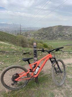 StumpJumper Alloy Base 29 S4  Mountain Bike