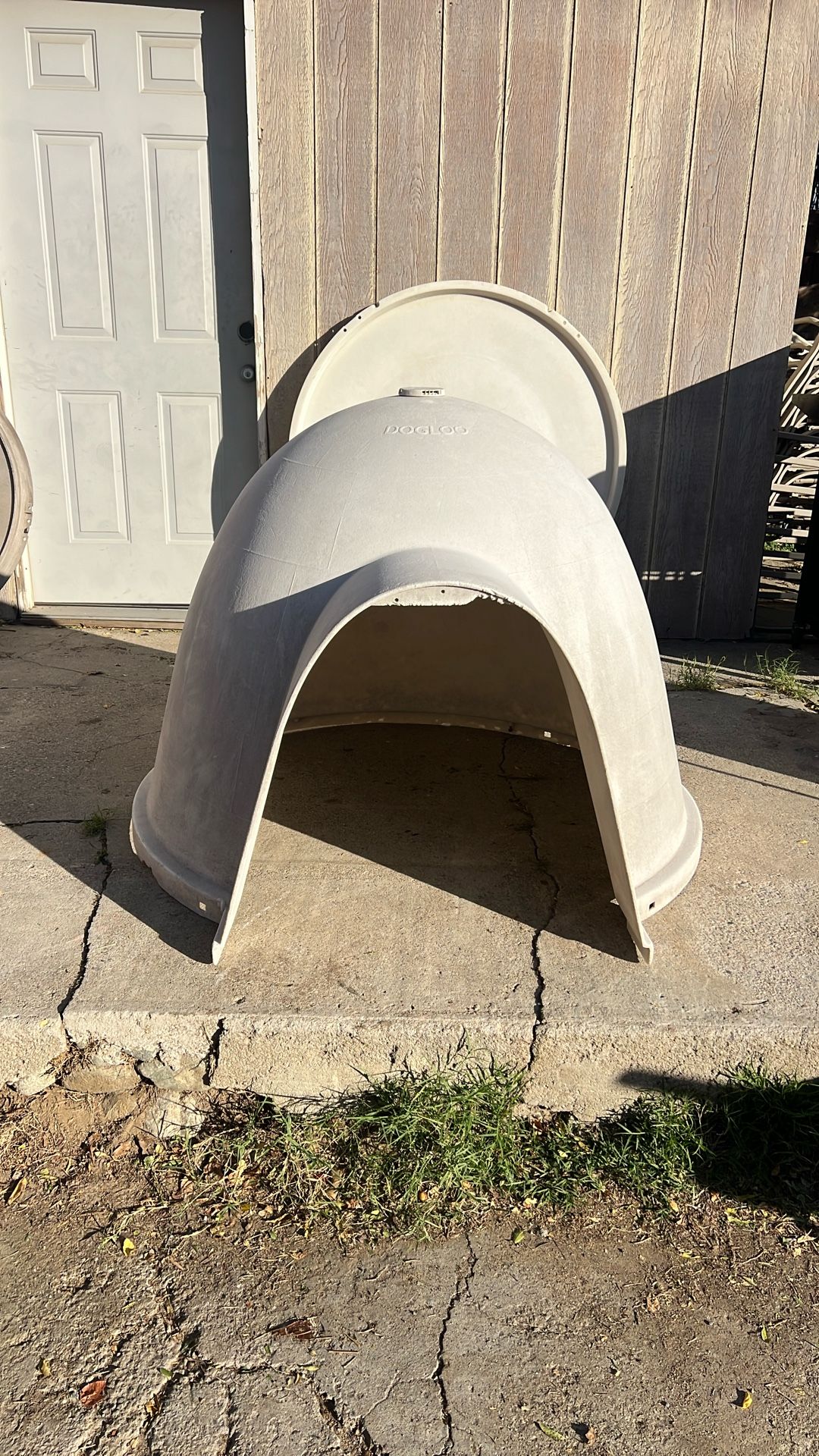 Dog House 