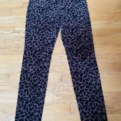 Ann Taylor LOFT Super Skinny Velvet Leopard Pants Size 25 Petite , New without Tags 
