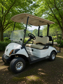 2023 Yamaha AC Drive2 Golf Cart in like new condition