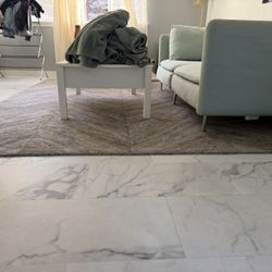 Sofa and Carpet - Free Pick Up From Sammamish