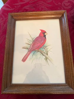 Cardinal print