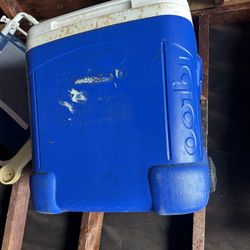 Cooler