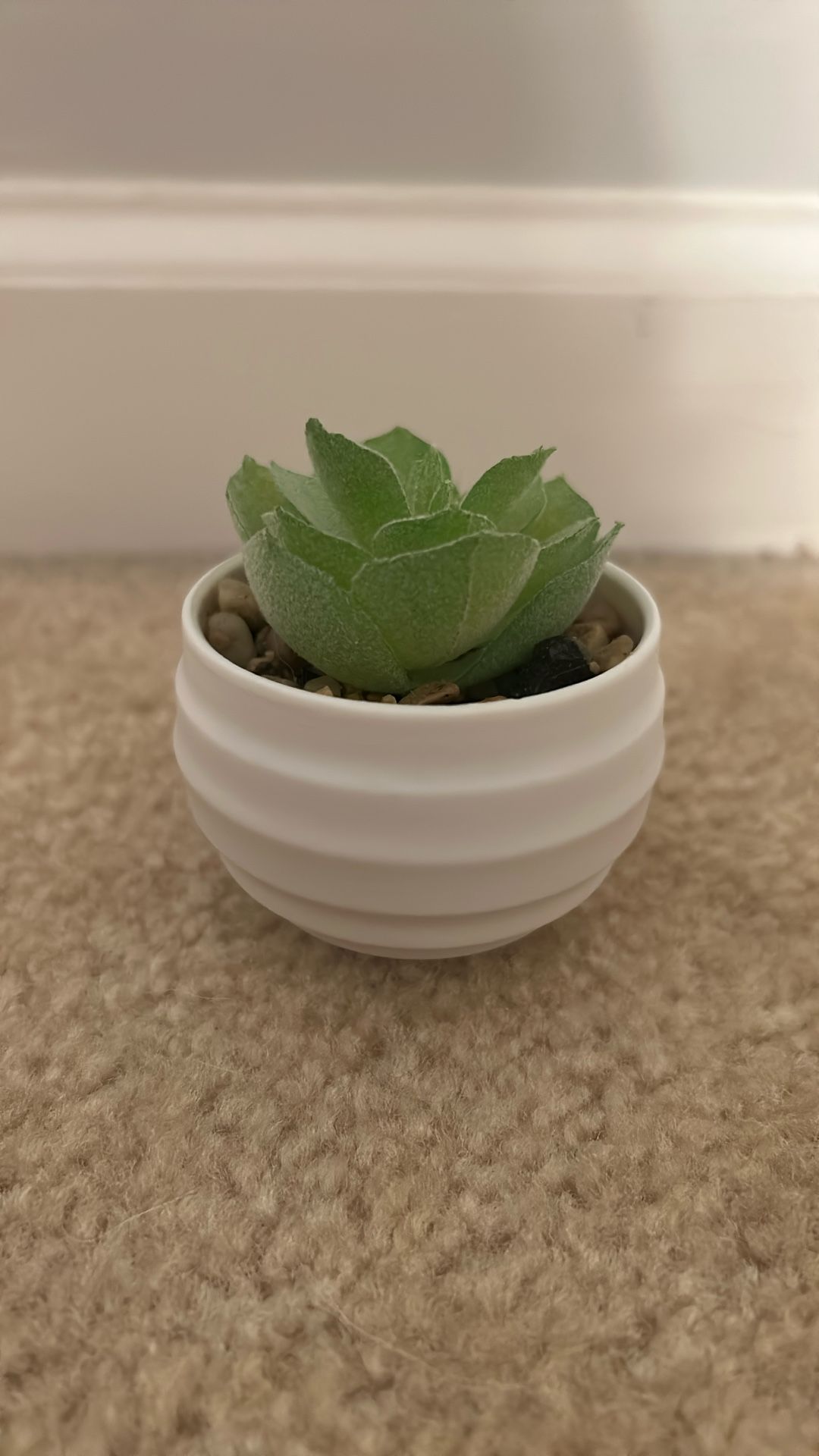 Small Fake Plant
