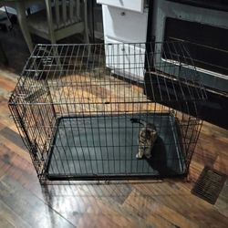 Medium Size Dog Kennel