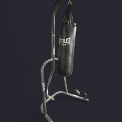 Everlast Punching Bag And Stand