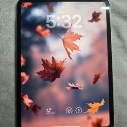 iPad Pro M4 11-inch Wi-Fi 256GB OLED Silver with ESR Case, Screen Protector, Magnetic Drawing Sheet