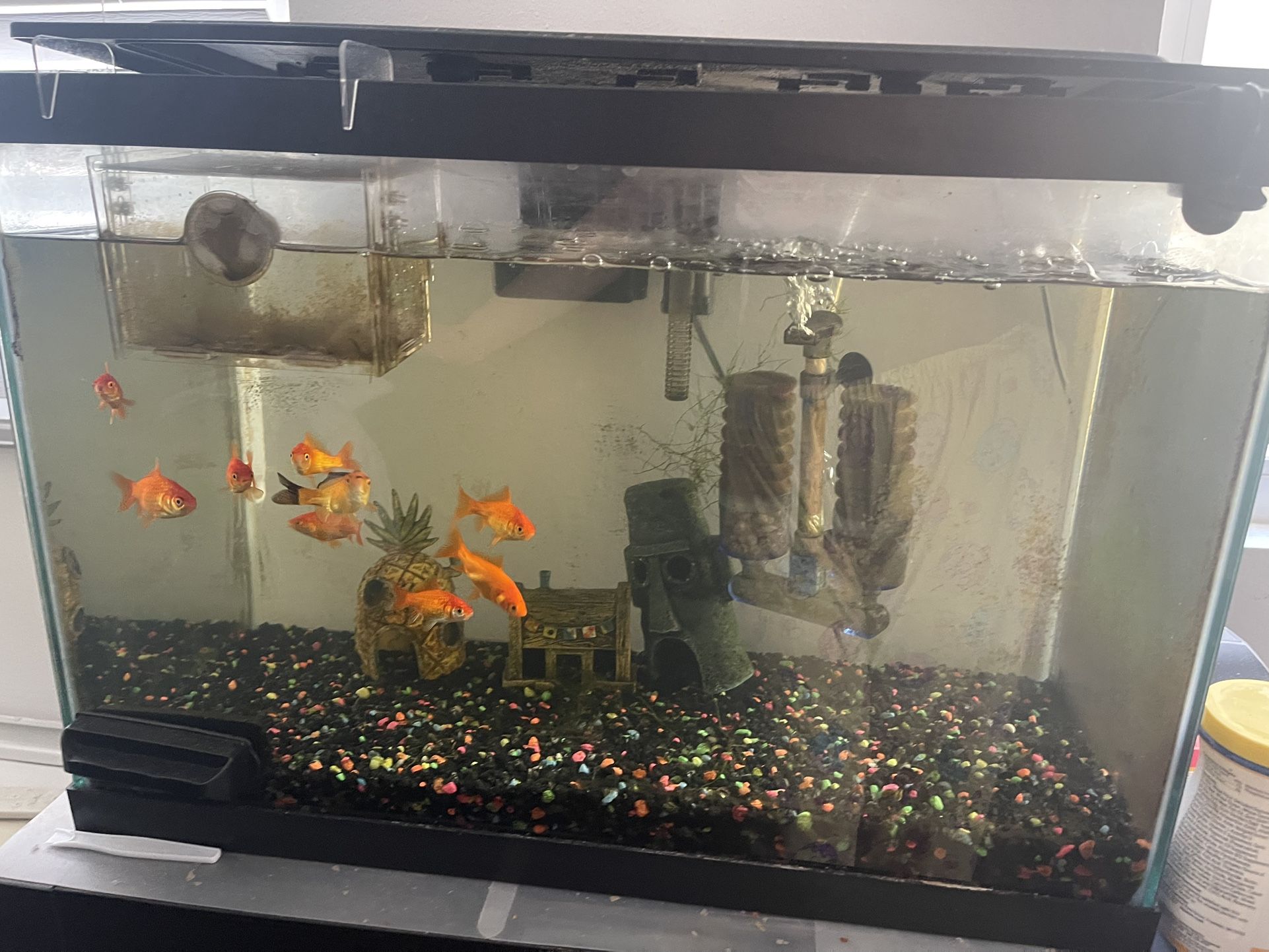 akuma spinning fishing reels Does anybody use an Okuma reel? Are they good? I mostly fish creeks. : r/ Fishing