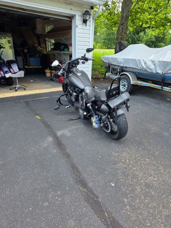 HD Street bob