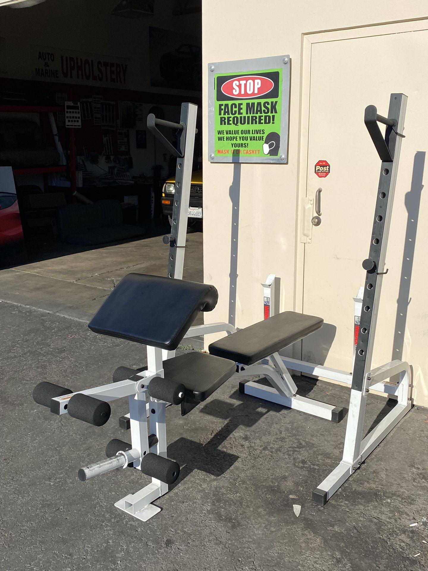 Weight Bench / Squad Rack 