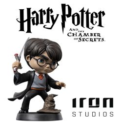 Harry Potter with Sword of Gryffindor MiniCo Vinyl Figure