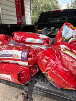 Free dog food