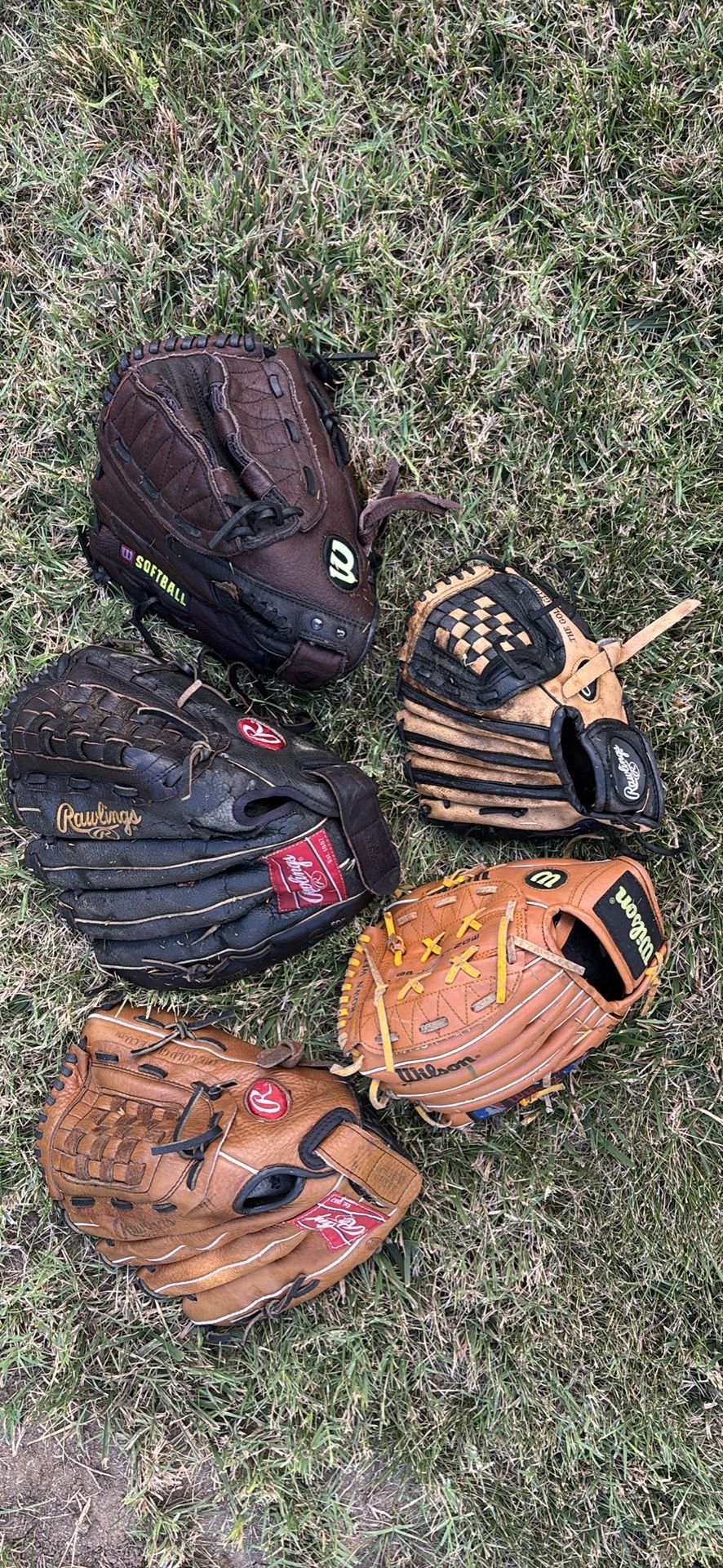 Baseball Gloves Take All For $10