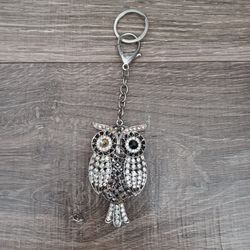 Bling Wise Owl🦉Keychain