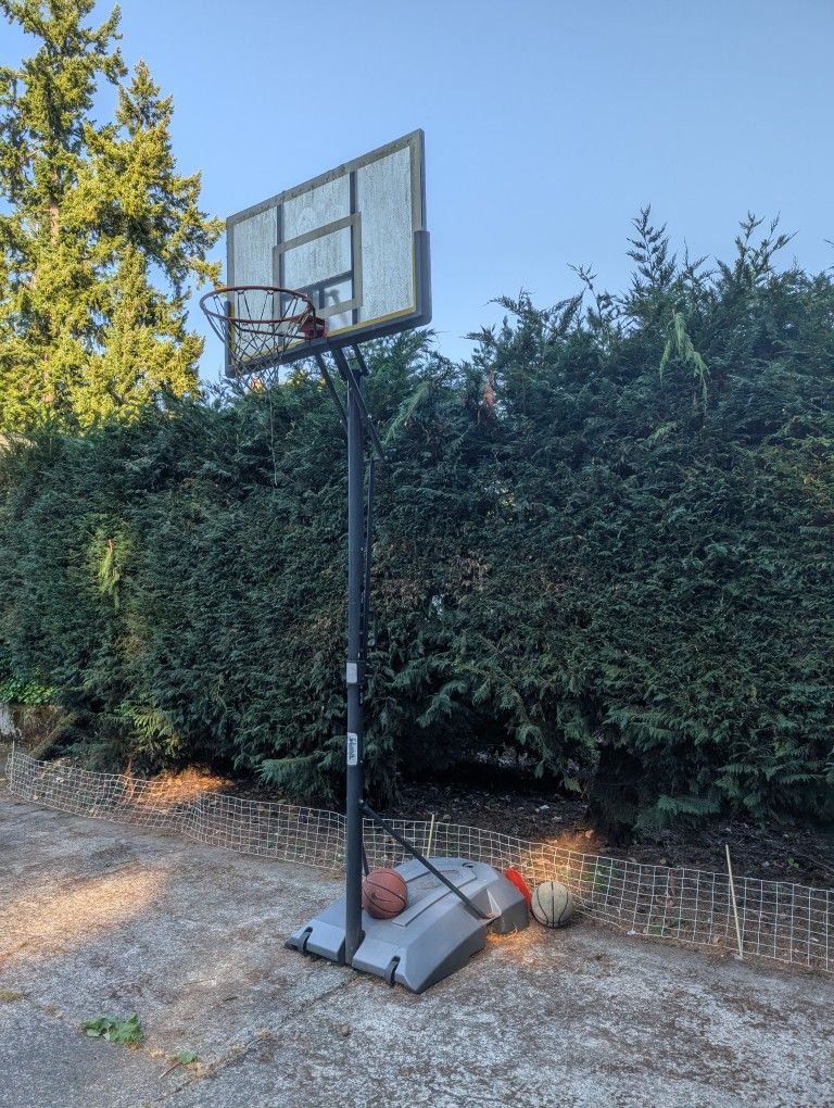 Free Standing Basket Ball Hoop For FREE