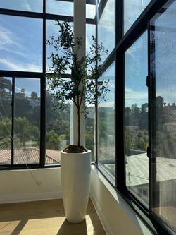 14ft Artifical Plant