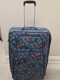 Check bag luggage