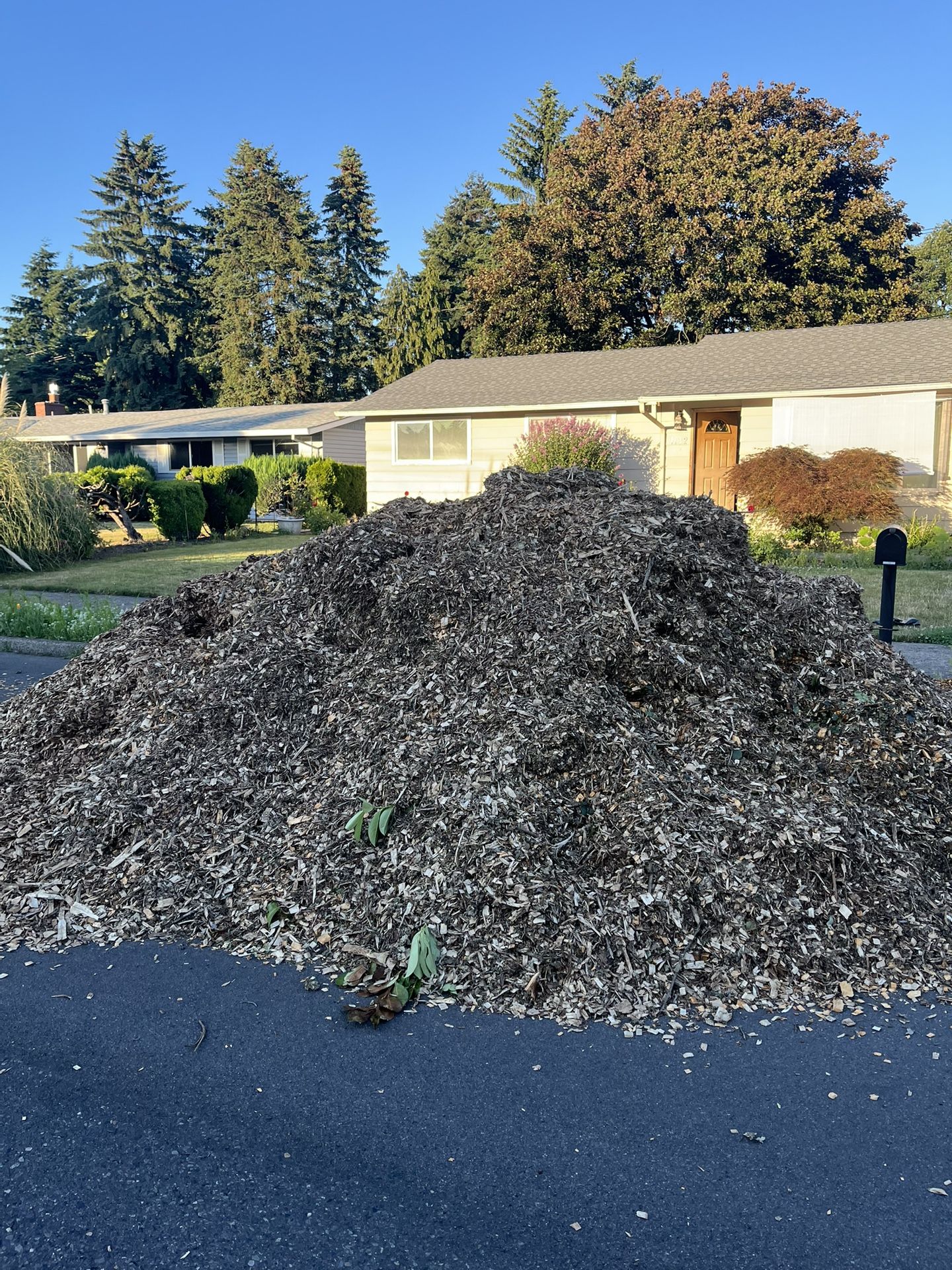 Free Wood Chips - You Haul