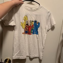 Sesame Street Kaws Tee Shirt Tshirt