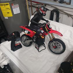 Losi, Pro Moto MX dirt bike
