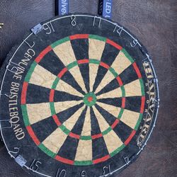 Dart Board Bristleboard