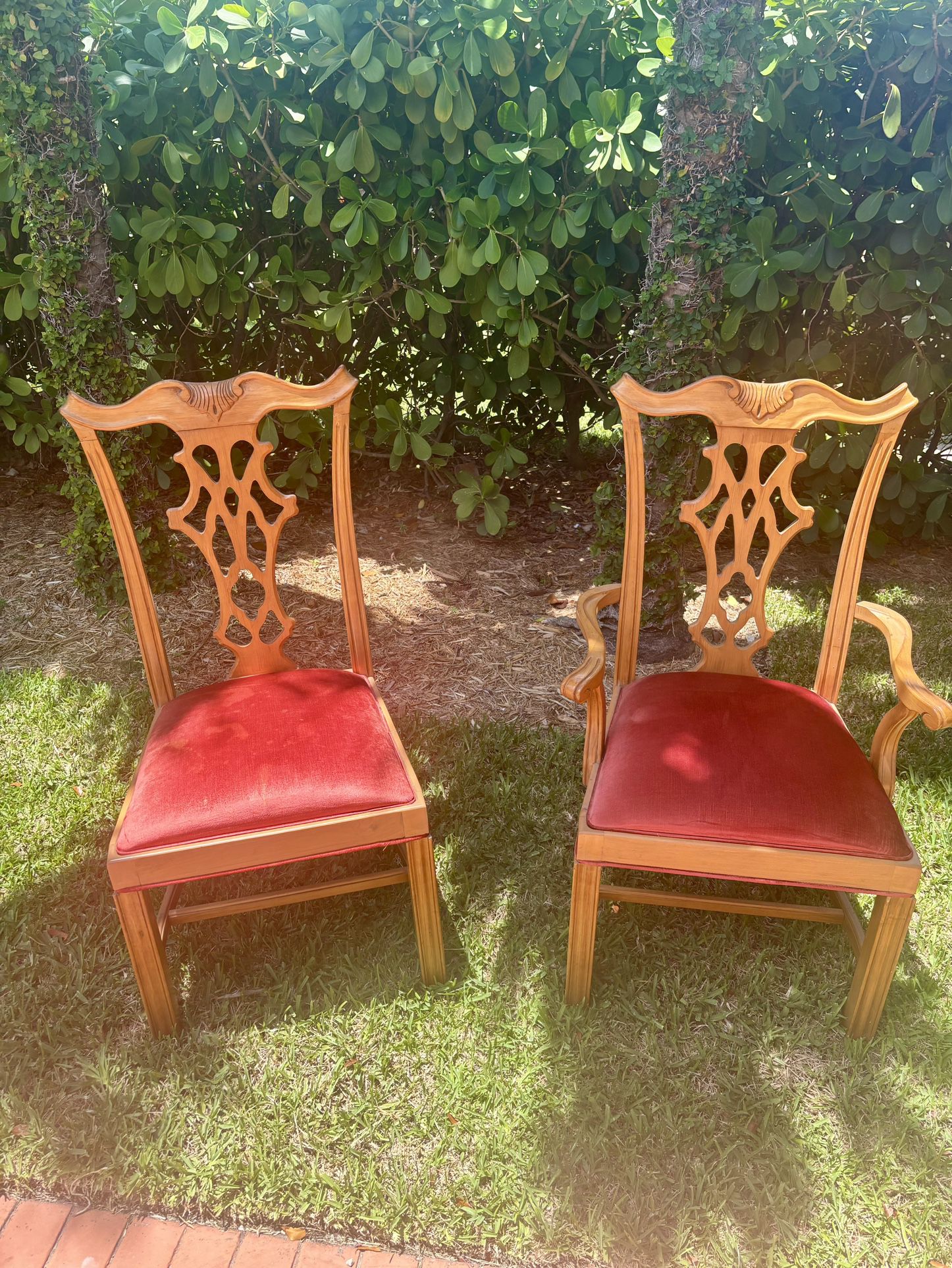 Chippendale Style Dinning Chairs 