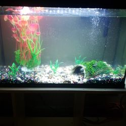 20gal Aquarium Cover, Led, Filter And Decoration