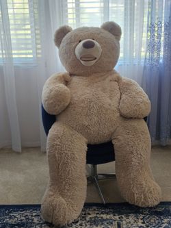 Bear