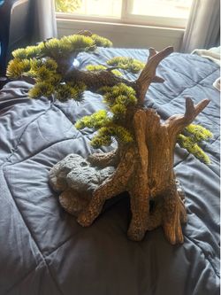 Reptile Accessory