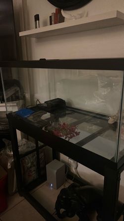 Fish tank