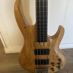 ESP ltd Fretless Bass